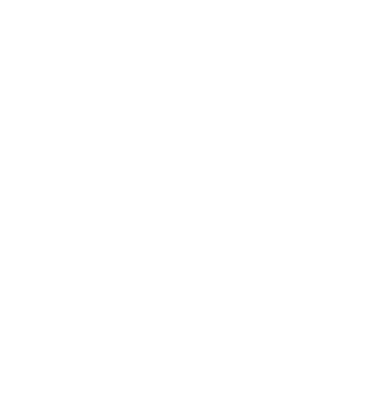 Whatsapp Logo White