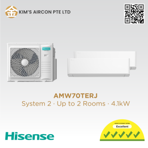 Hisense Hi-ECO Series AMW70TERJ (Smart)