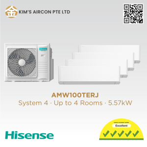 Hisense Hi-MAX Series AMW100TERJ (Smart)